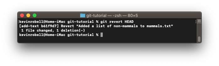 Console window showing how to revert a commit using the git revert HEAD command.