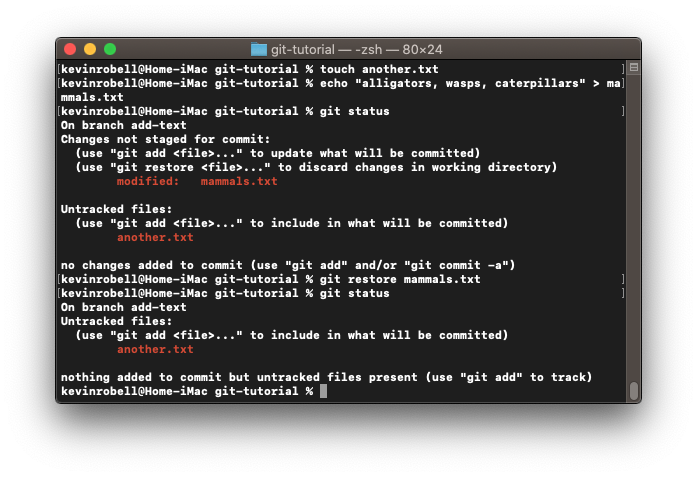 Console window showing how to restore a file using the git restore <file path> command.