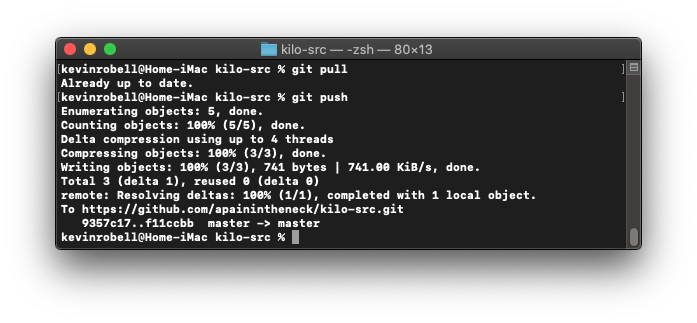 Console window showing how to push to a remote repository using the git push command.