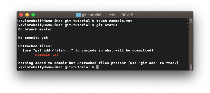 Console window showing how to check the status using the git status command.