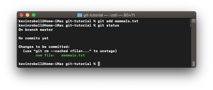 Console window showing how to add a file to the commit using the git add filename command.