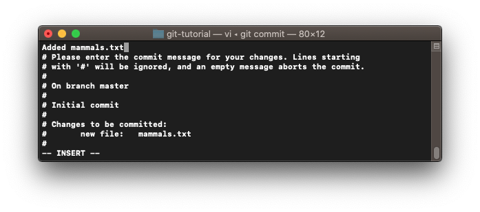 Console window showing how to make the commit message using your default console text editor.