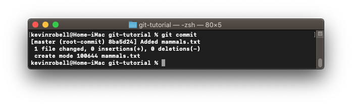 Console window showing how to make a commit using the git commit command.