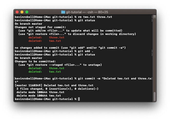 Console window showing how to delete tracked files from your project.