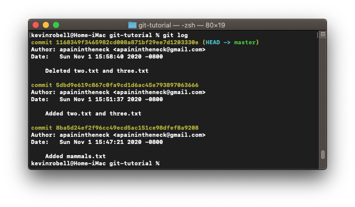 Console window showing how to access the log data using the git log command.